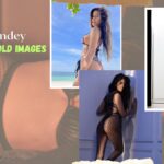 Poonam Pandey Hot Videos